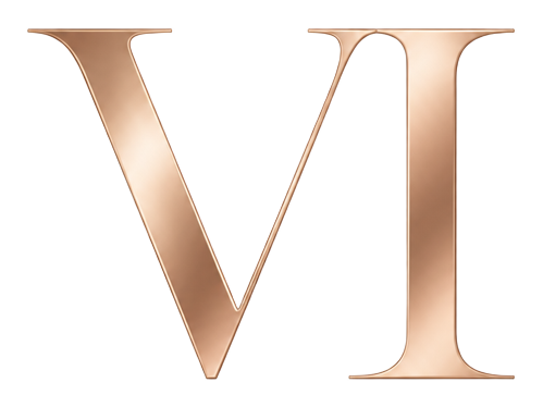 Logo Vitor Imports